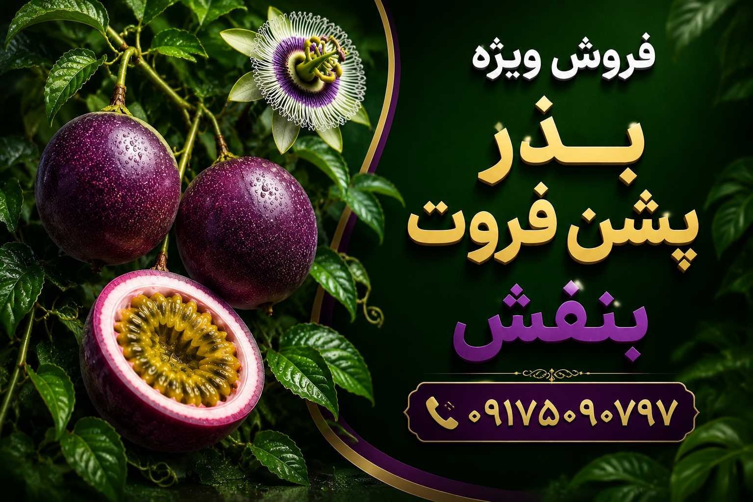 photo_۲۰۲۶-۰۶-۲۸_۲۰-۰۲-۱۸